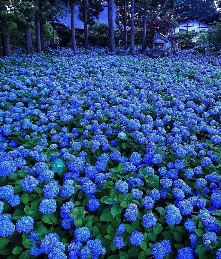 Autumn2992's tweet photo. https://t.co/b78Kb0xZYs