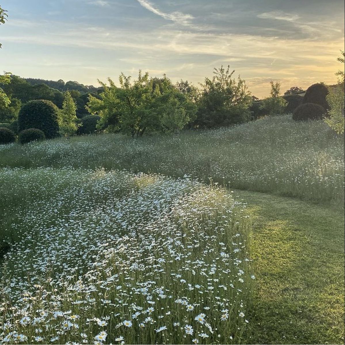 RobinStanfill2's tweet photo. After the rain 

And nothing else🍃 https://t.co/jNz8LGH77E