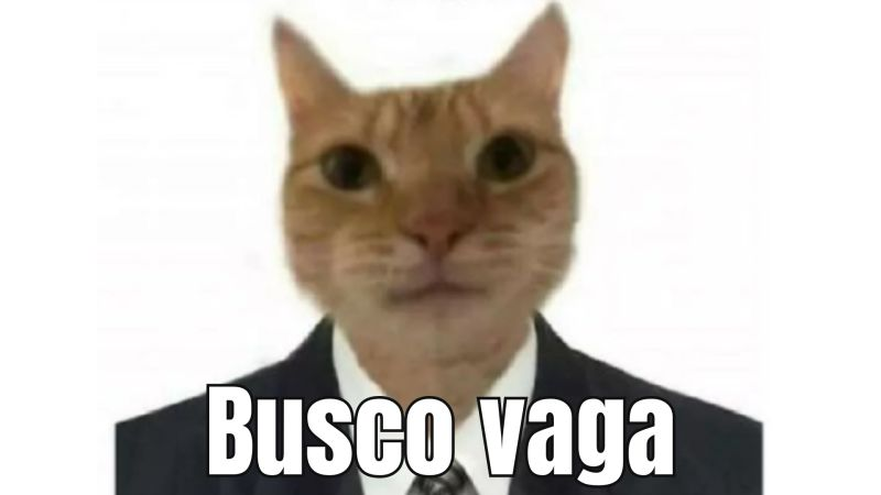 unfavsora's tweet photo. Fala, galera! 💜

Estou em busca de uma oportunidade para voltar ao Marketing. Se sua empresa, organização ou projeto procura um Social Media, Community Manager Sênior ou Coordenador, vamos conversar!

Meu contato e portfólio estarão na thread 👇 https://t.co/6VOS2ee2P2