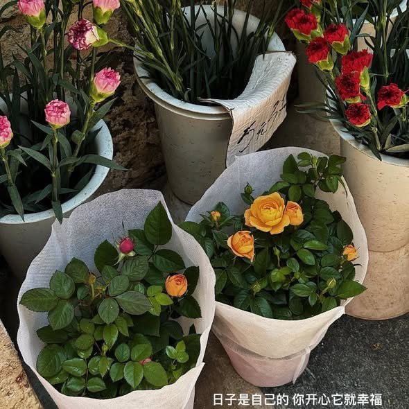 Lixin_rui01's tweet photo. 人生并非要走直路 慢慢来 自有答案 https://t.co/HcJu33kwRH