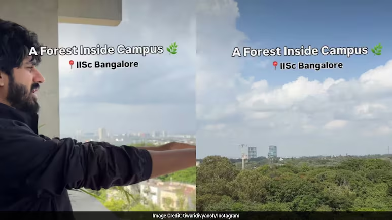 ndtv's tweet photo. Man Captures Planted Urban Forest At IISc Bengaluru Campus, Calls It "Absolutely Beautiful" https://t.co/huQWe1aXZ0 https://t.co/0KxfL97I3k