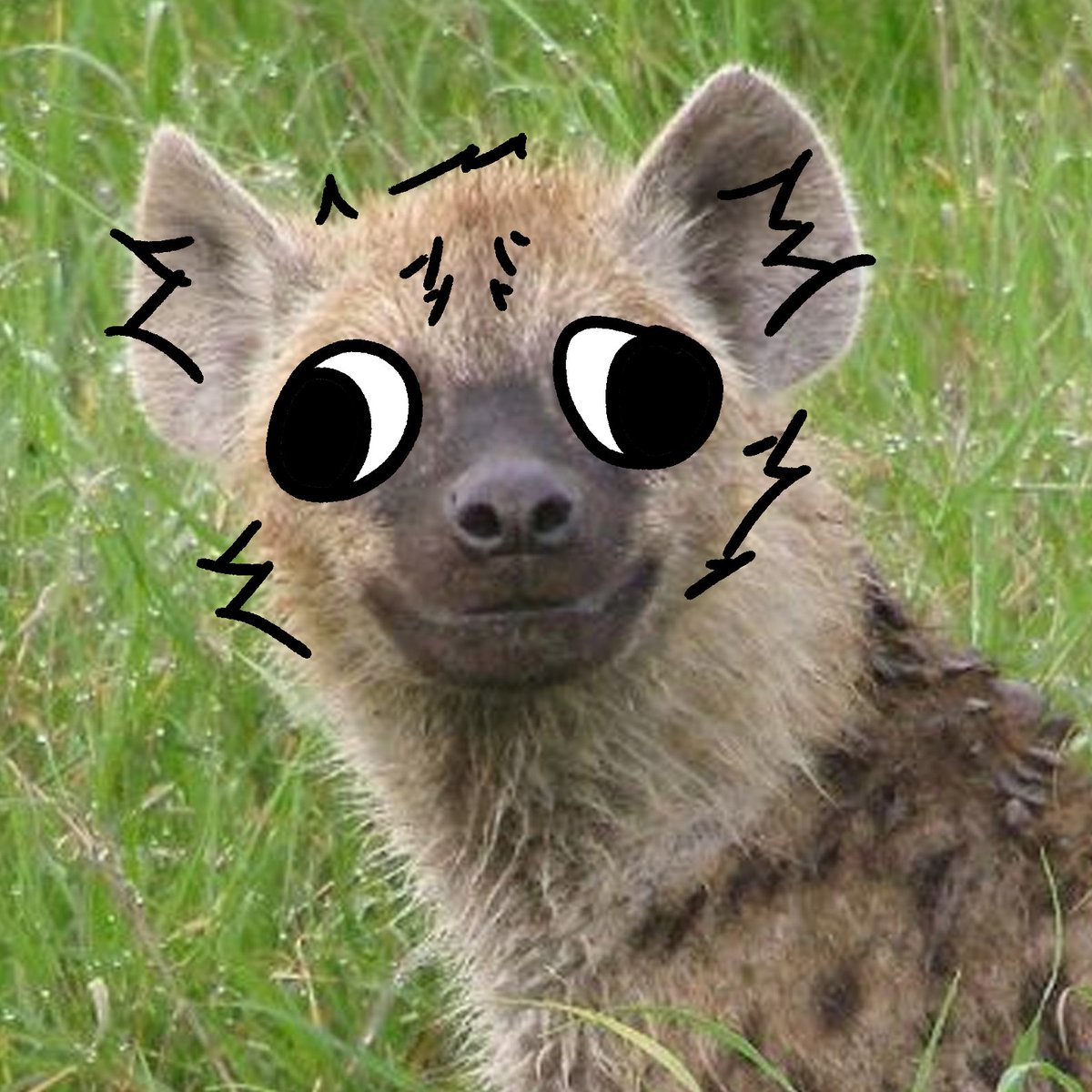 thecatidk's tweet photo. Another yeen #yeen #hyena #animal #art https://t.co/mXEIwxLiNE