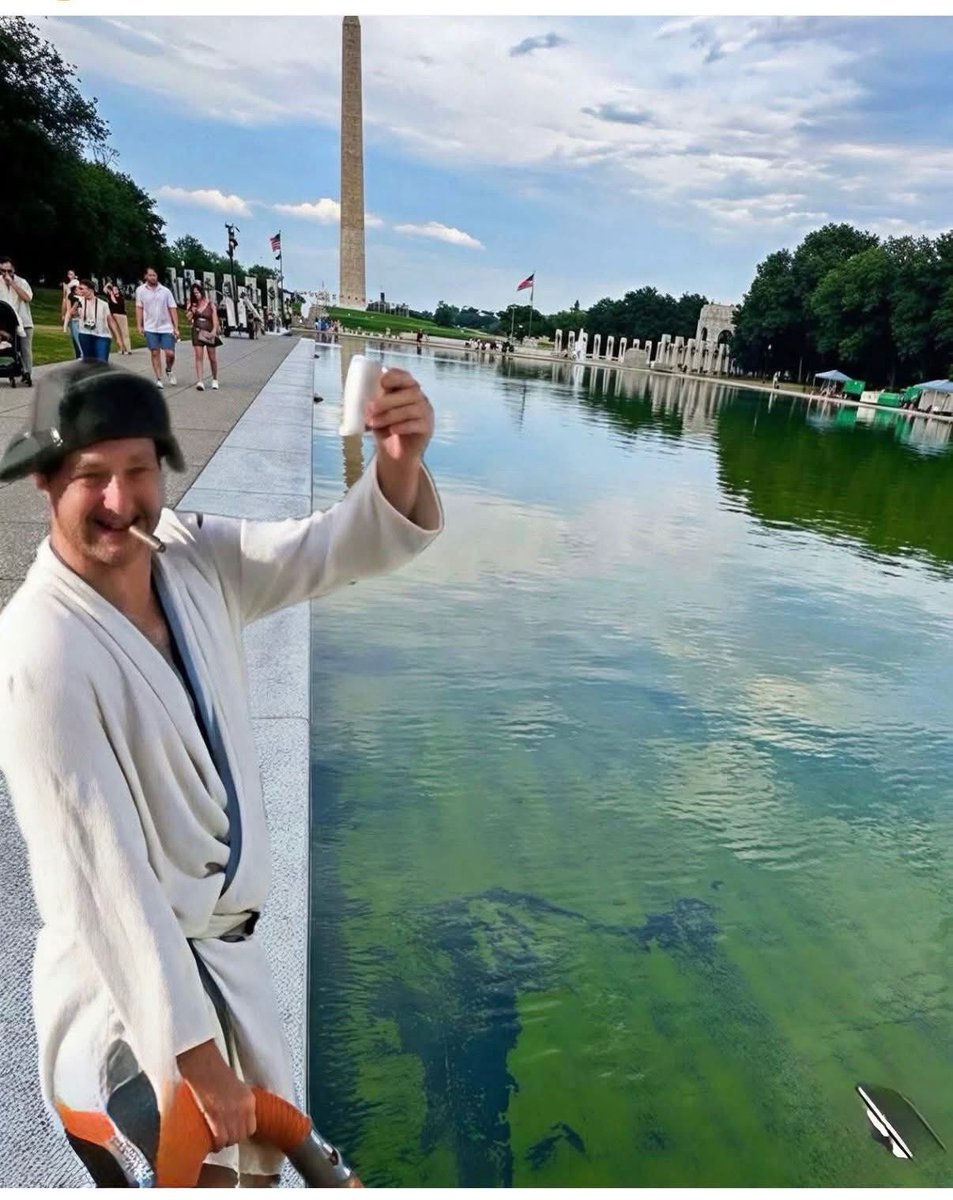 SLIMPICKENSSHOW's tweet photo. @PenguinSix The reflection pool is getting old but the memes keep delivering. https://t.co/qK5CxALTSa