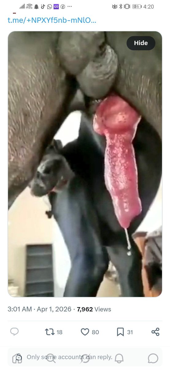 k925070's tweet photo. 🐕 Join my channel if you like nasty K9 sluts 💦
Real knotting, breeding creampies &amp; extreme kinky zoo play. Fresh filthy content daily 😩 🐶🔥”

Telegram Channel link 🖇👇👇
https://t.co/1v0PTAFCYZ…

#Beastiality #Zoophilia  #Taboovideos #Dog #doglover #goviral https://t.co/L4t1k3V17l
