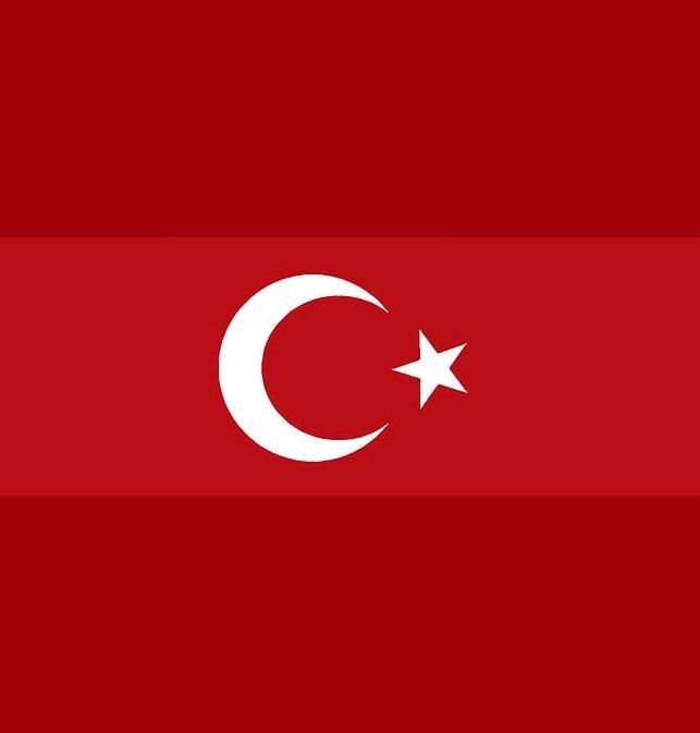 Turk Scout tweet media