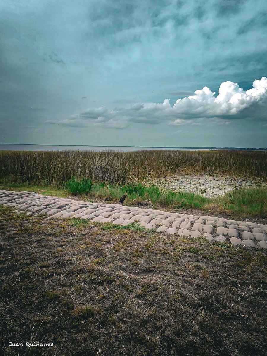 PhotosbyJuanca's tweet photo. I didn't take this picture to remember the place.
I took it to remember the feeling.
#Photography #NaturePhotography #LandscapePhotography #ShotOnSony #ThroughMyLens #CapturedThoughts #Clouds #SkyLovers #SimpleMoments #FindBeauty https://t.co/psZnxNnDis