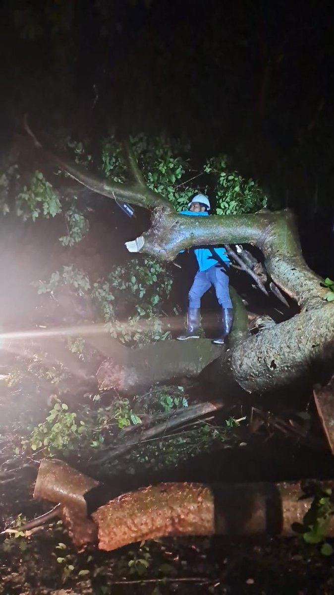 ObraMunicipal's tweet photo. 🌙 Durante la noche y esta madrugada de lunes, nuestro personal realizó un arduo trabajo para la remoción de un árbol de gran magnitud que obstruía la vía que conecta Usulután Centro con Santiago de María, a la altura del cantón El Palmital, distrito de Ozatlán.

Las labores han permitido  restablecer el paso y garantizar una circulación segura para quienes transitan por la zona. 🚧🌳
#DOM