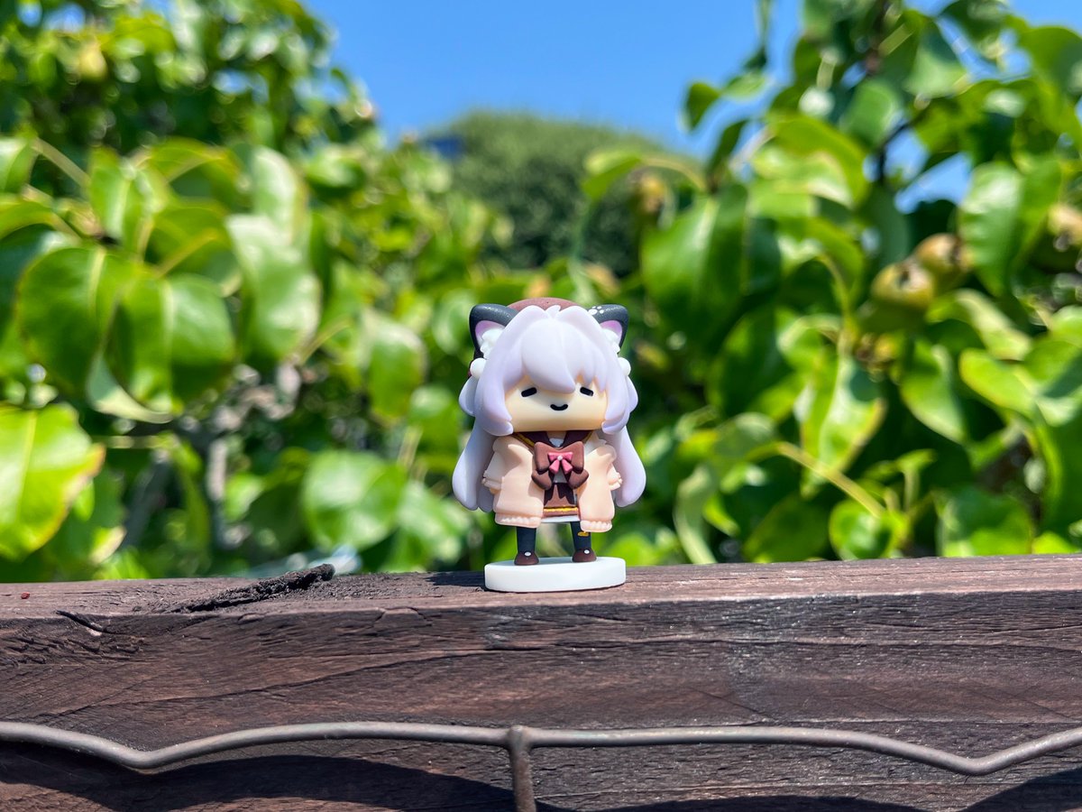 Gugulu_owo's tweet photo. 祝綽貓5周年快樂✨✨

製作了短綽（4.5周年衣裝ver.）

（跌膊還原🐦）
 #cheukcat_art https://t.co/VL8Us8LjwB