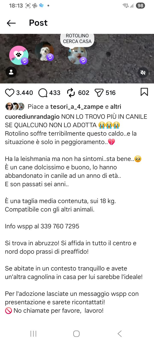 annina_cutillo's tweet photo. Provo una pena per questo cane abbandonato in canile con un caldo insopportabile.Mi si stringe il https://t.co/l8FxM8TjEr volontaria che ha scattato la foto è stata ricoperta di insulti.Non si lascia un cane cosi' https://t.co/mBmsFixLpb