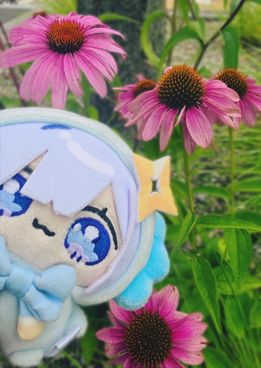 lastplace03's tweet photo. おはよー💫

ぎゅっぎゅっ！

#かなたそちゃん https://t.co/6Q6Yx0I3lU