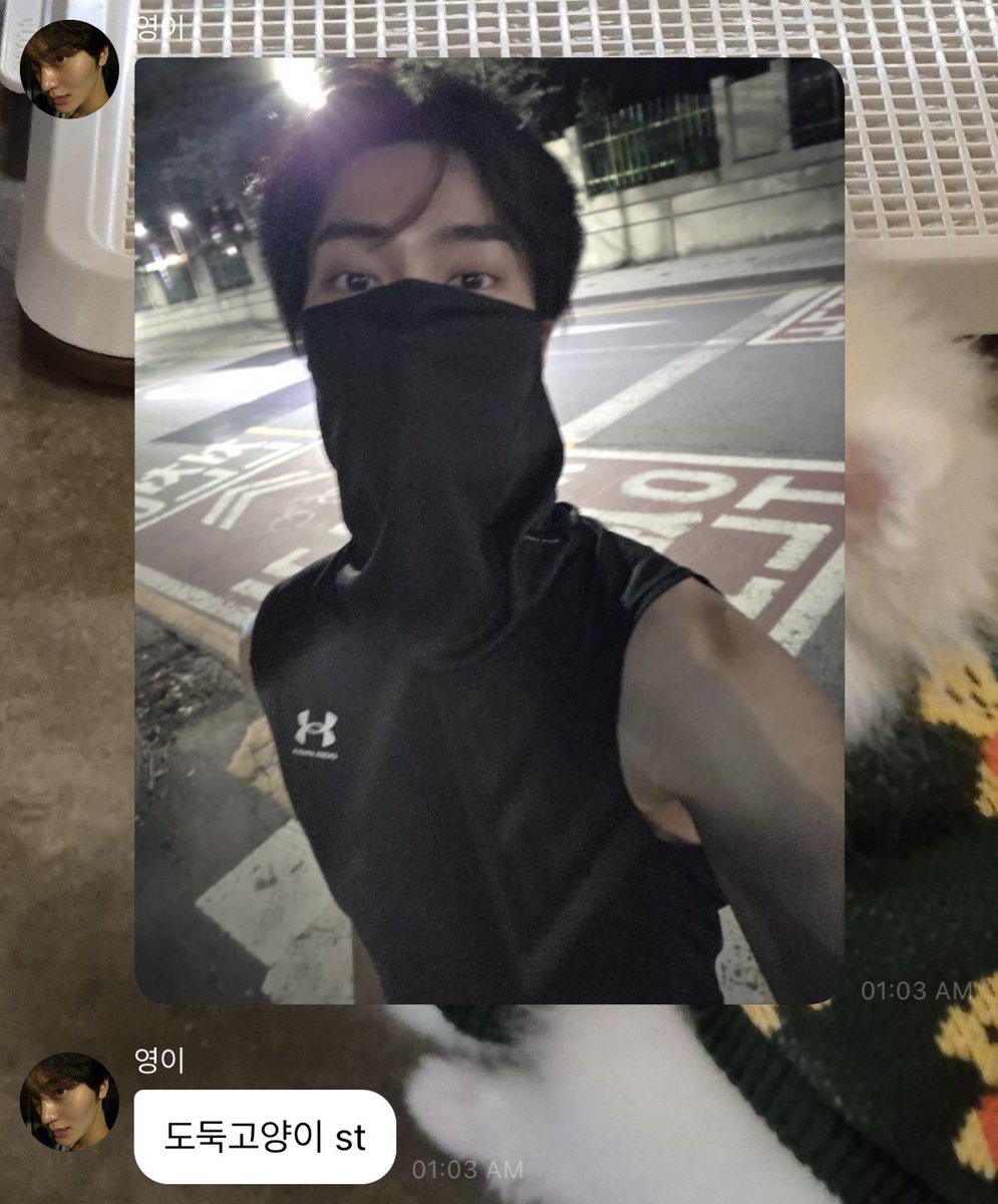 puren0_'s tweet photo. 도둑고양이라고 self모에화하는것.
너무귀업다…….. https://t.co/B4HDu23R3O