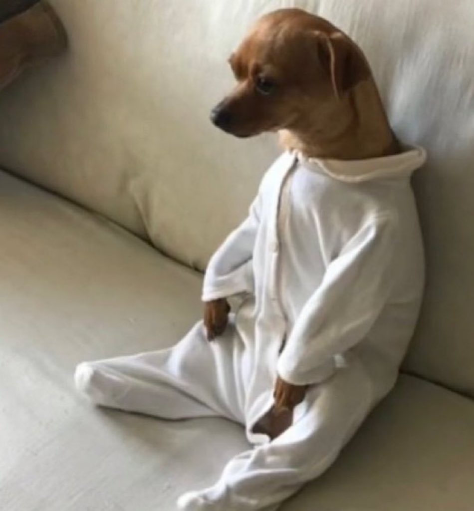 MERC 𝕏 tweet media