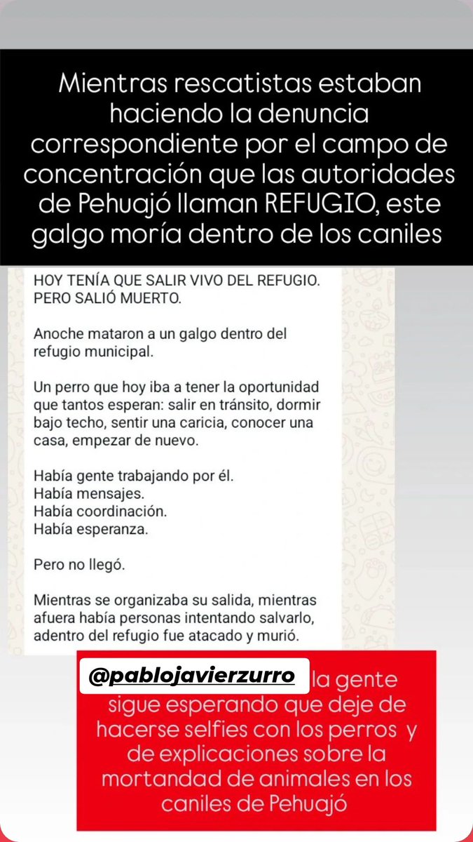 bnclzla's tweet photo. @lagarzasosa_ ACUMULANDO PERROS PARA DEJARLOS A SU SUERTE MATÁNDOSE ENTRE ELLOS PABLO JAVIER ZURRO ES EL RESPONSABLE DE TODA ESTA MASACRE https://t.co/toWNzhMcji