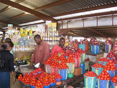 BusinessDayNg's tweet photo. Nigerian households are switching to tomato paste, banga stew, and garden egg sauce as the price of fresh tomatoes surges 188 percent year to date.

The price spike is forcing families to abandon fresh tomatoes in favor of cheaper alternatives amid erratic supply and rising transportation costs.

https://t.co/it3IoQeif1