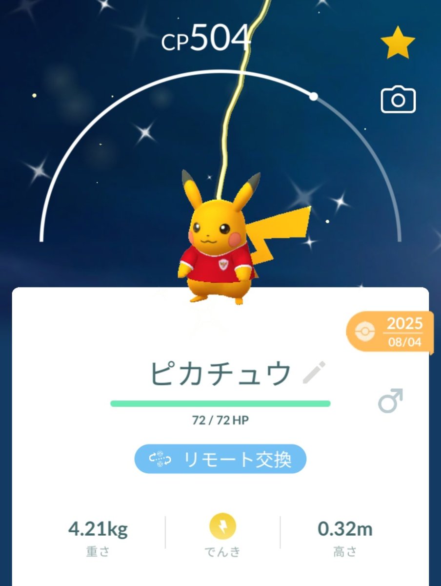 narusour_'s tweet photo. 背景とコスチュームピカチュウ関係って需要あったりする？？
 #ポケモンGO色違い
 #ポケモンGO https://t.co/kzL64KqP1Z