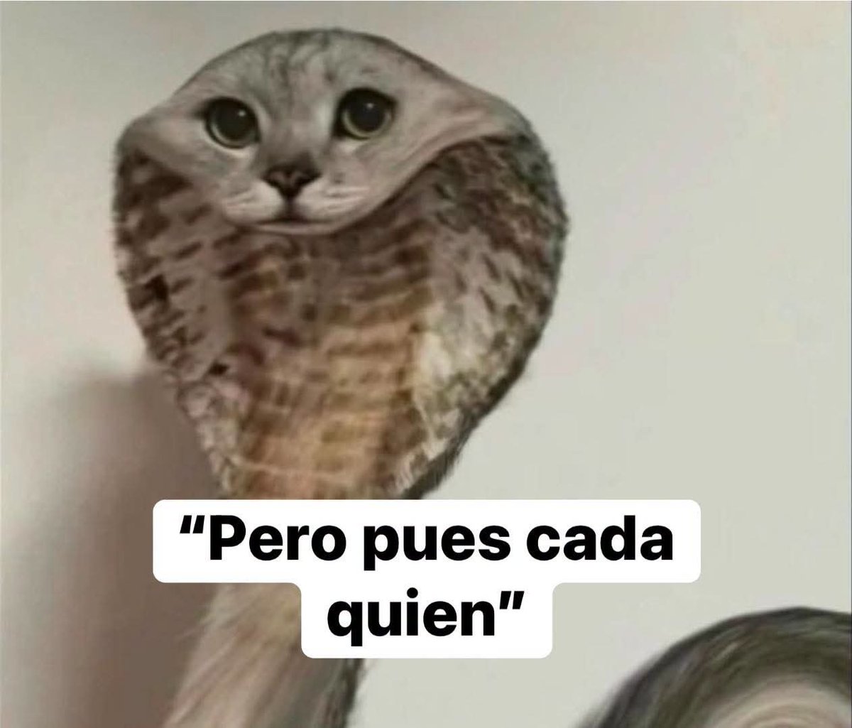 angelo_uf's tweet photo. Yo después de haber hablado pestes de alguien por mas de 2 horas: https://t.co/fmqxuytj5S