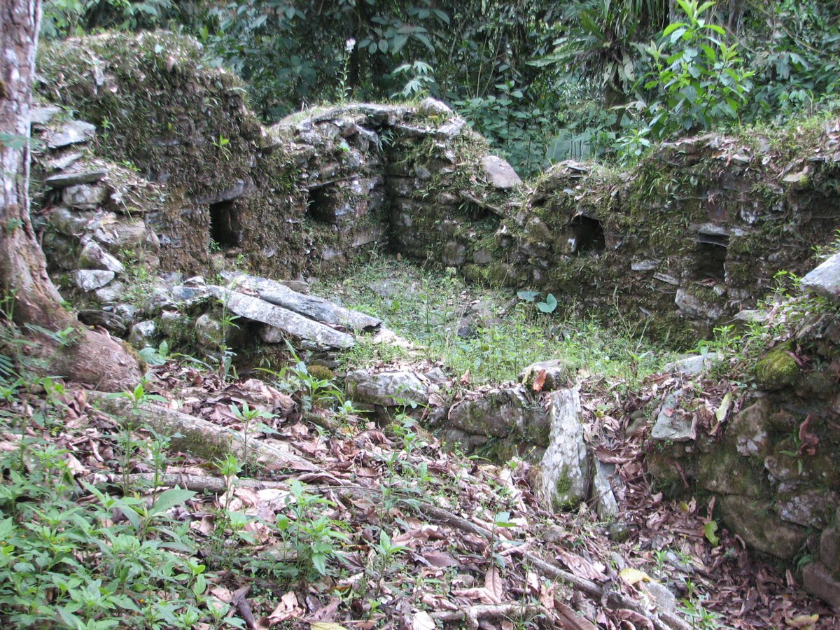 Infinity Tomb Raider tweet media