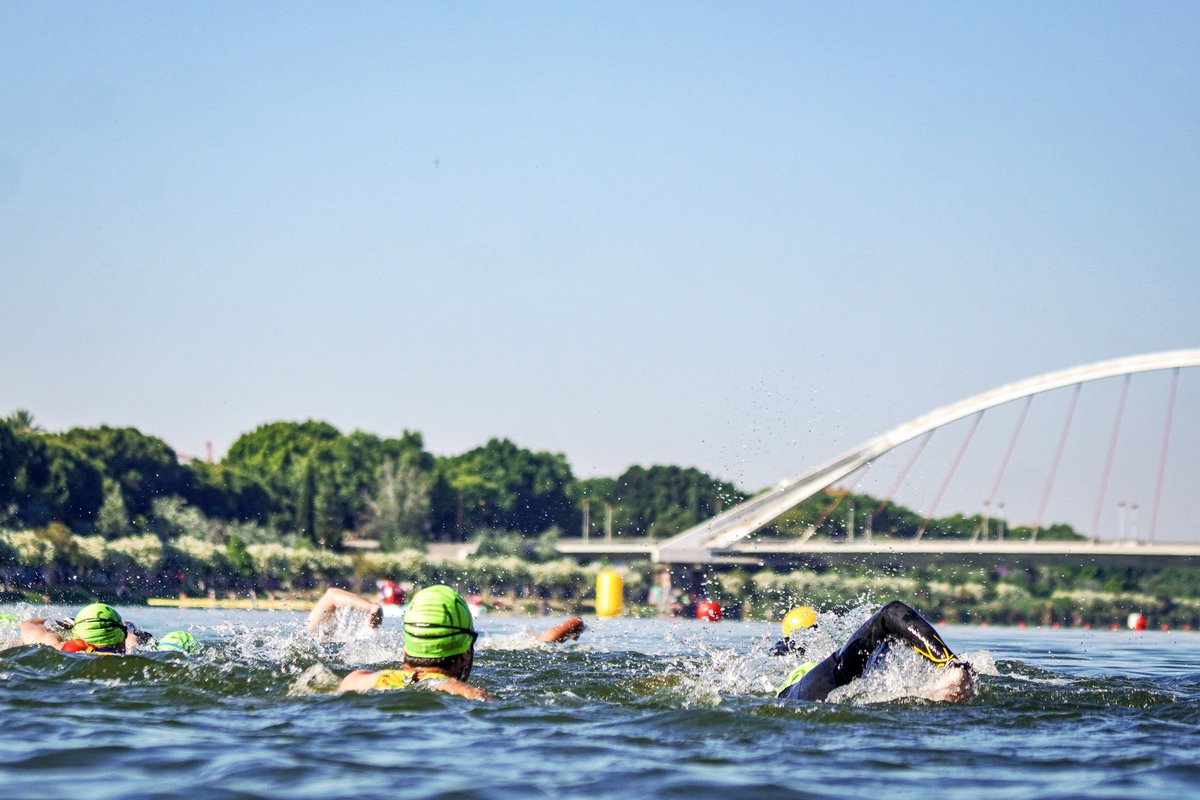 ElCleoRender's tweet photo. Desde el desconocimiento:

¿Deberíamos abrir el melón de que el río podría ser el sitio idóneo para refrescarse?

Se celebra la Cucaña de la velá de Santa Ana, se hacen triatlones, gente en paddle surf... Por no hablar de que en París hay sitios de baño en un Sena que da pena. https://t.co/oUCvUlOycl