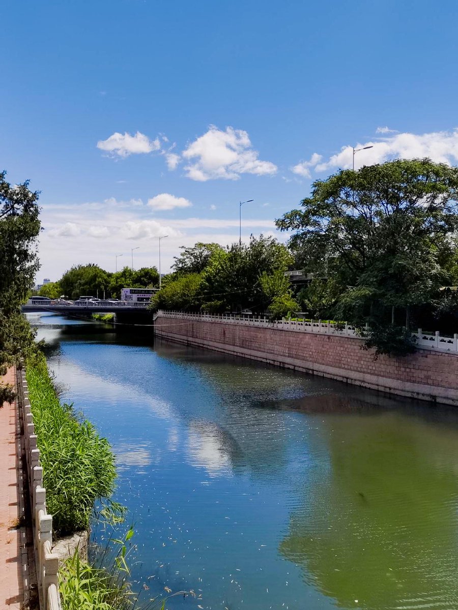 AFachineto's tweet photo. My morning routine used to be rushing to catch the bus with a frozen bread, but now I ride my bike along the riverside, sipping warm soy milk — small changes make big days.， https://t.co/phJFe0cTHF