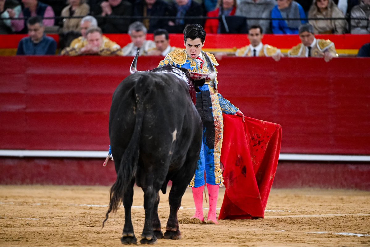 fjsanchez_m's tweet photo. @integridadtoros @integridadtoros Besitos 😘😘 https://t.co/jOF4wCUEtM