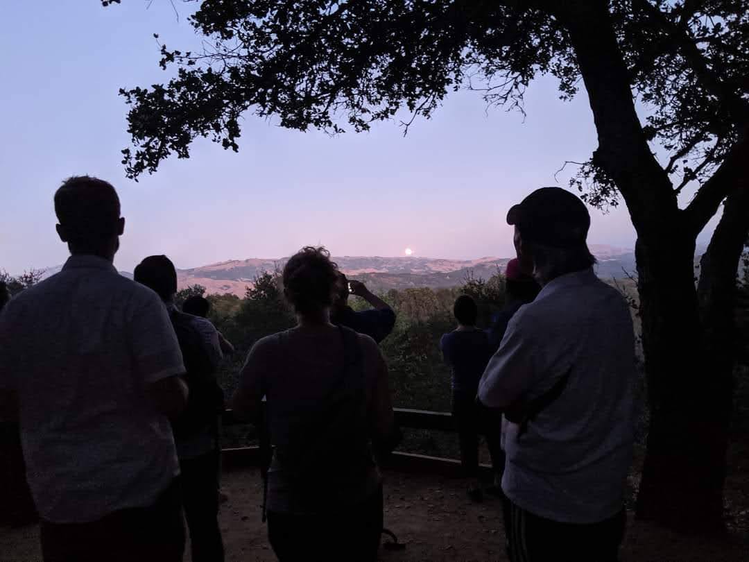 ChabotSpace's tweet photo. Hike and Sip with us on Saturday! 

Go on a guided trek through the redwoods - learn about the history of the land, Oakland, and the Ohlone peoples.

Then sip, snack, and search the cosmos from our Observation deck after your hike!

#hikeandsip #bayareahike #hiking https://t.co/HLhY09hZ7o
