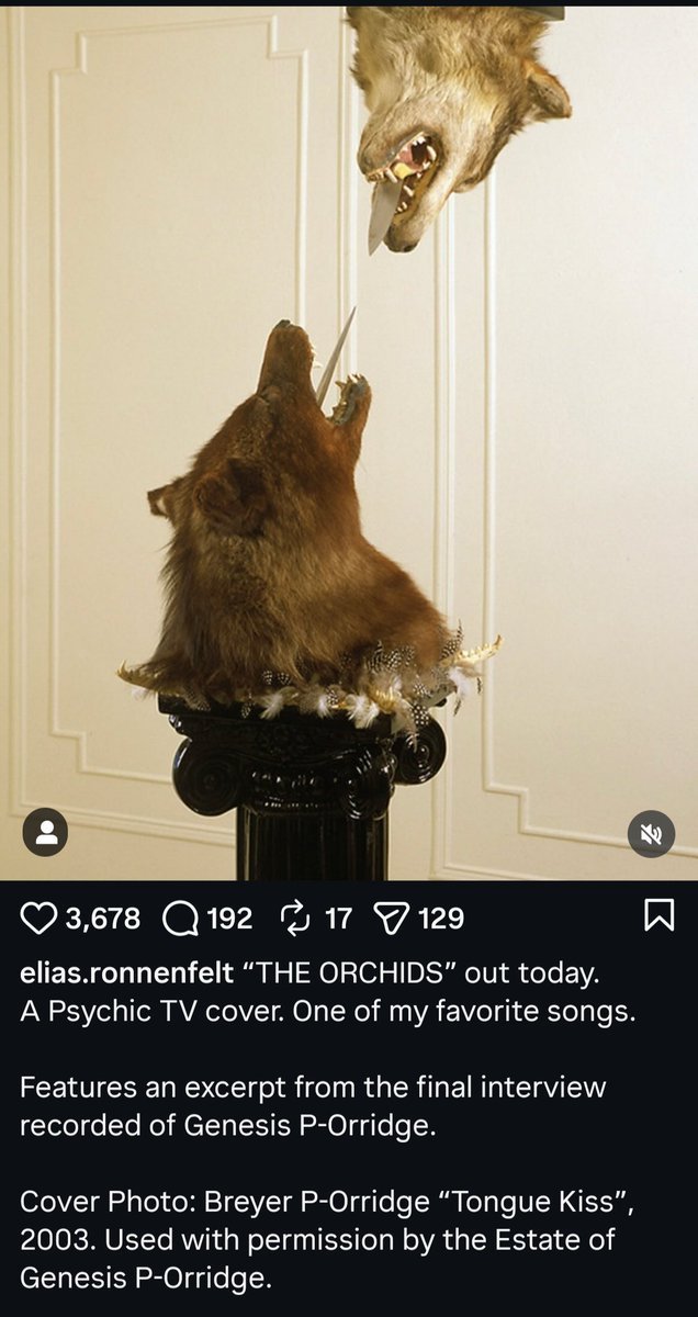 FrankJr0100's tweet photo. @FilmUpdates Jenna Ortega whose boyfriend Elias Ronnenfelt posted racist imagery in his zine Dogmeat Klansmen along with skinheads, decapitated and cooked dogs. He's a wannabe nazi and a violent abuser. And she's paying publications to clean his image. https://t.co/6WBXcB2FmU