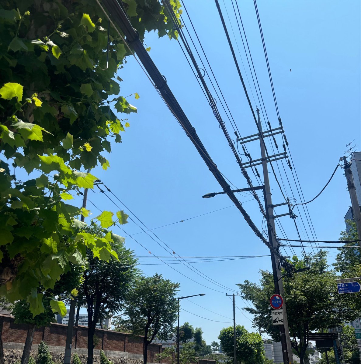 Xct8am's tweet photo. 청량감 최고 https://t.co/mSYoVreN7M