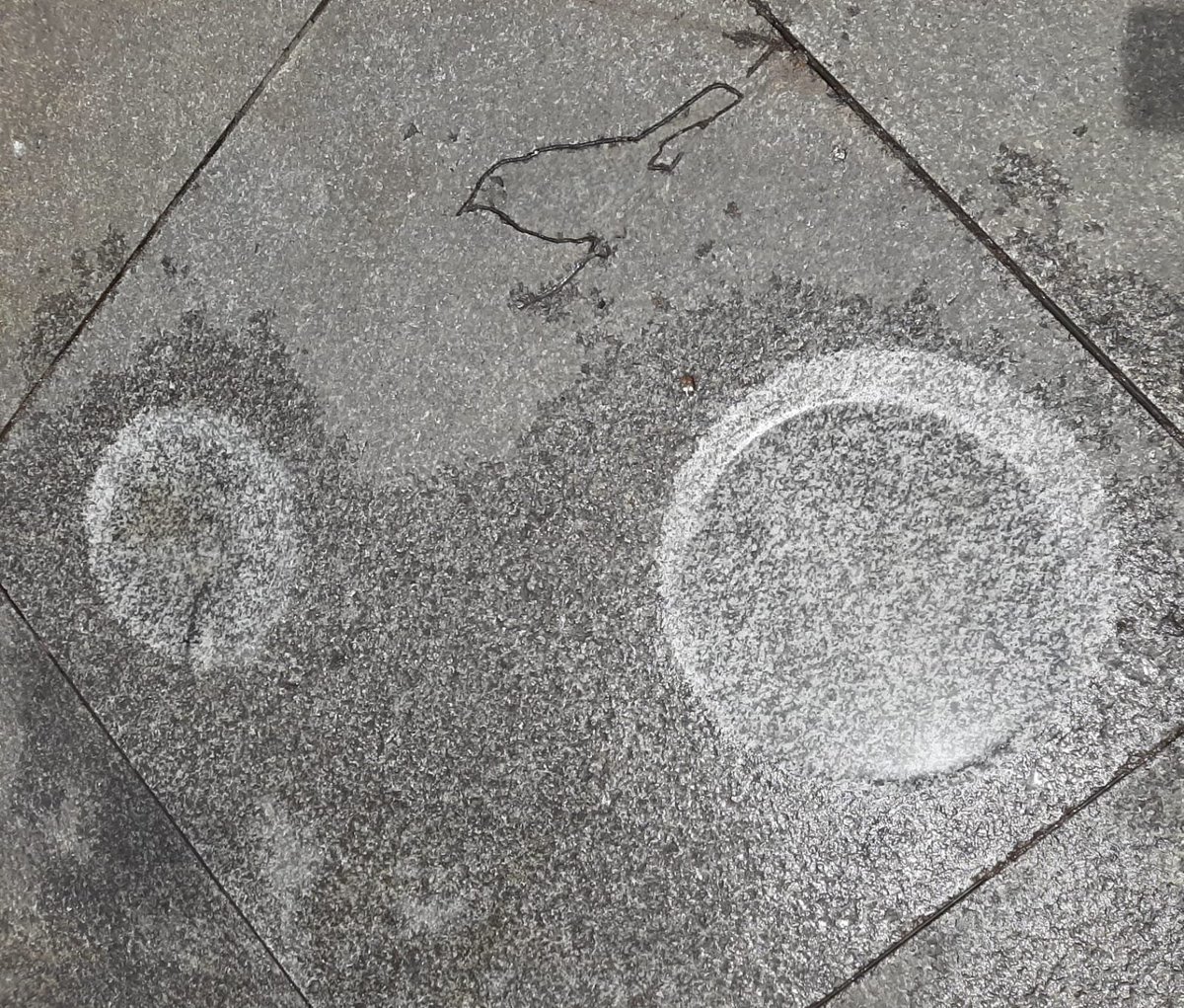 charo_lu's tweet photo. Con los calores terribles del verano, en las ciudades se hace difícil pasear. También a los animalitos urbanos. En la plaza de Isabel II (Madrid) los canteros han creado unos bebederos de lo más chulos. https://t.co/5JtbxH6G7d