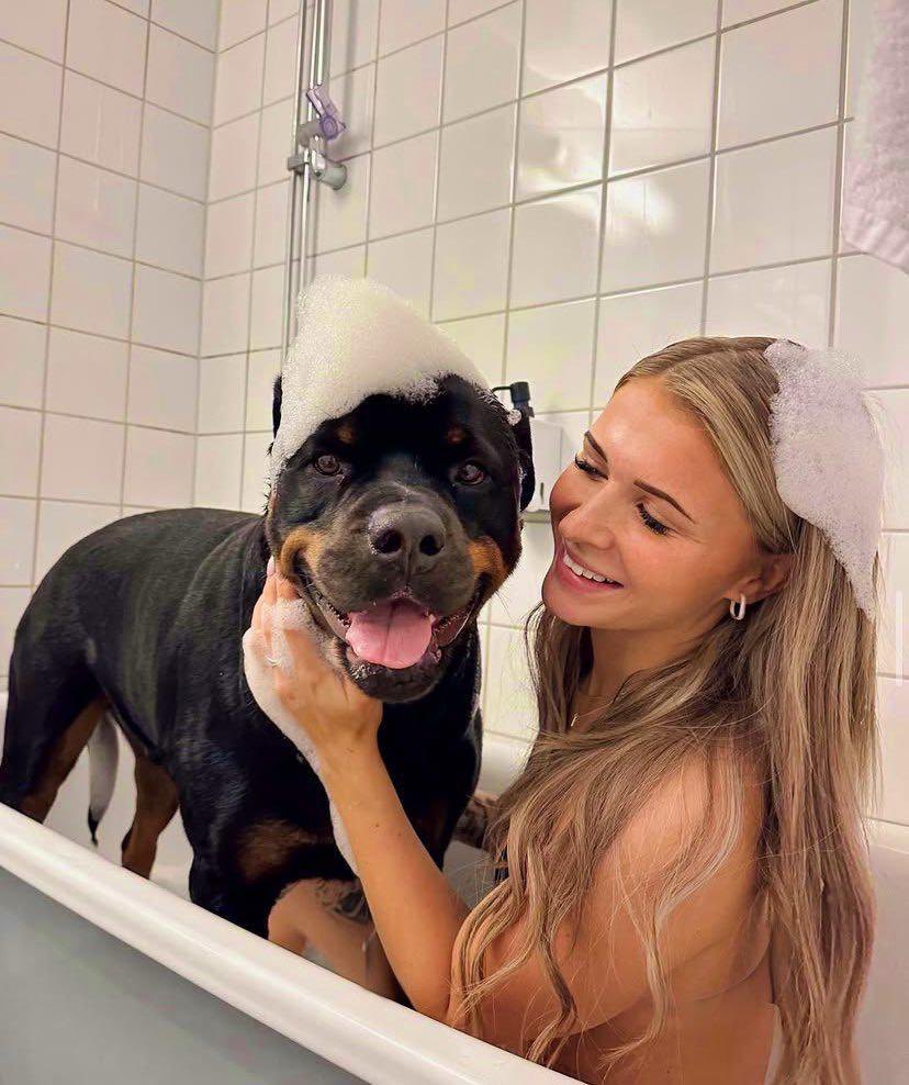 StellaC247's tweet photo. I welcome those who understand that exclusivity is a privilege not a right 💕 Click the link only if you’re serious about entering my private world🥵🐶💦
 🔗https://t.co/rKi2YlUlHt

#dogknot #zoophile #dogknotting #antizoophille #k9girl #knotty #beastiality #antizoo #knot #aoz https://t.co/sPDWibtnDg