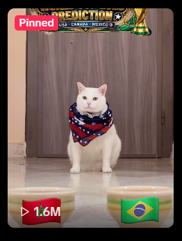 Uponly_tr's tweet photo. HELLOO why nobody is talking about this?

This cat called YUKI is going viral right now on tiktok for doing the world cup prediction and getting it right, already had 1.6m views on this match

This is genny, we might more viral predictions soon!

Tiktok: https://t.co/urRv1z3a8G https://t.co/i2Fe4YhIeB