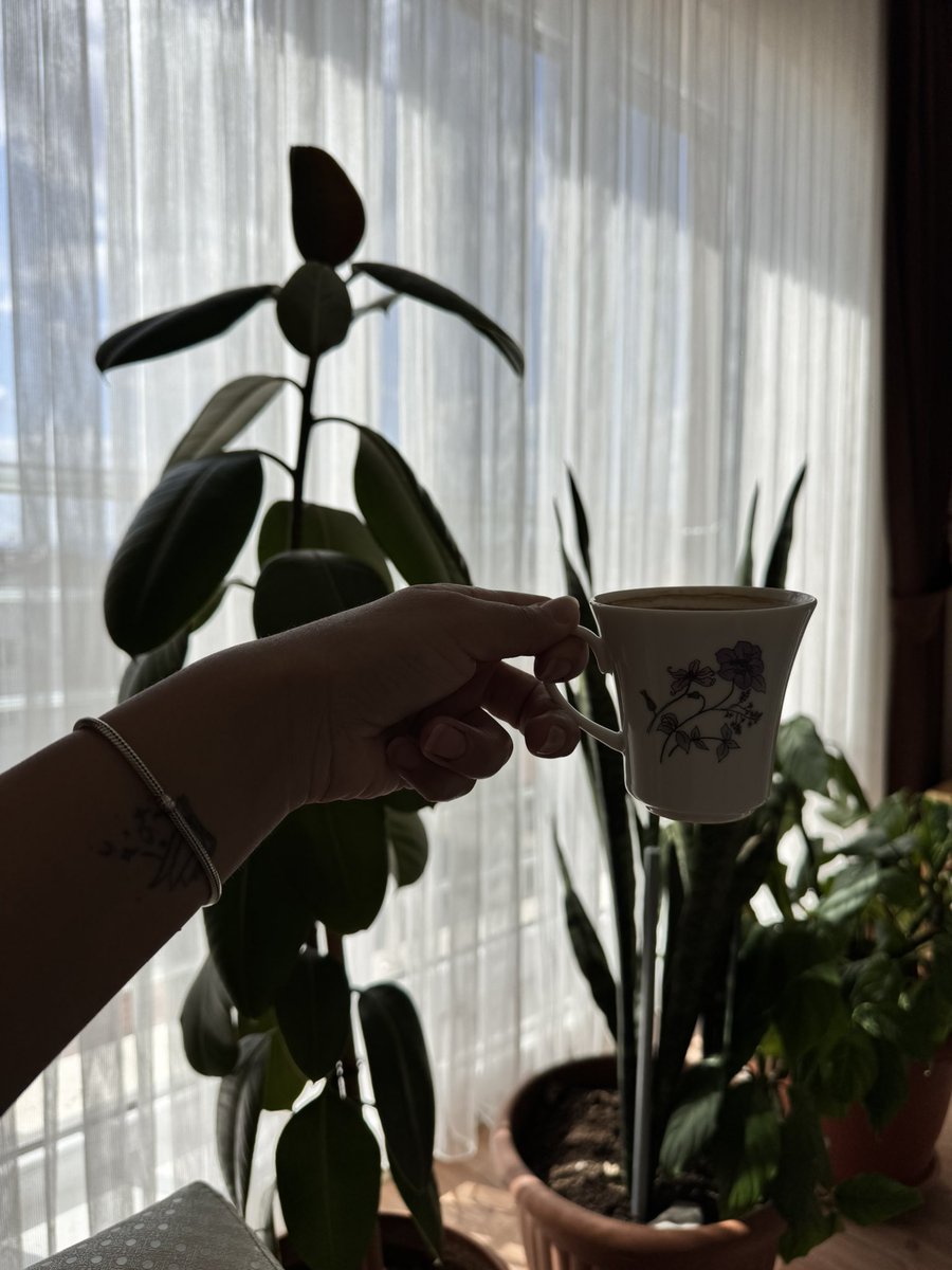 Evindorr's tweet photo. ☕️ 🌱 🪴 https://t.co/Qal5ygeldi