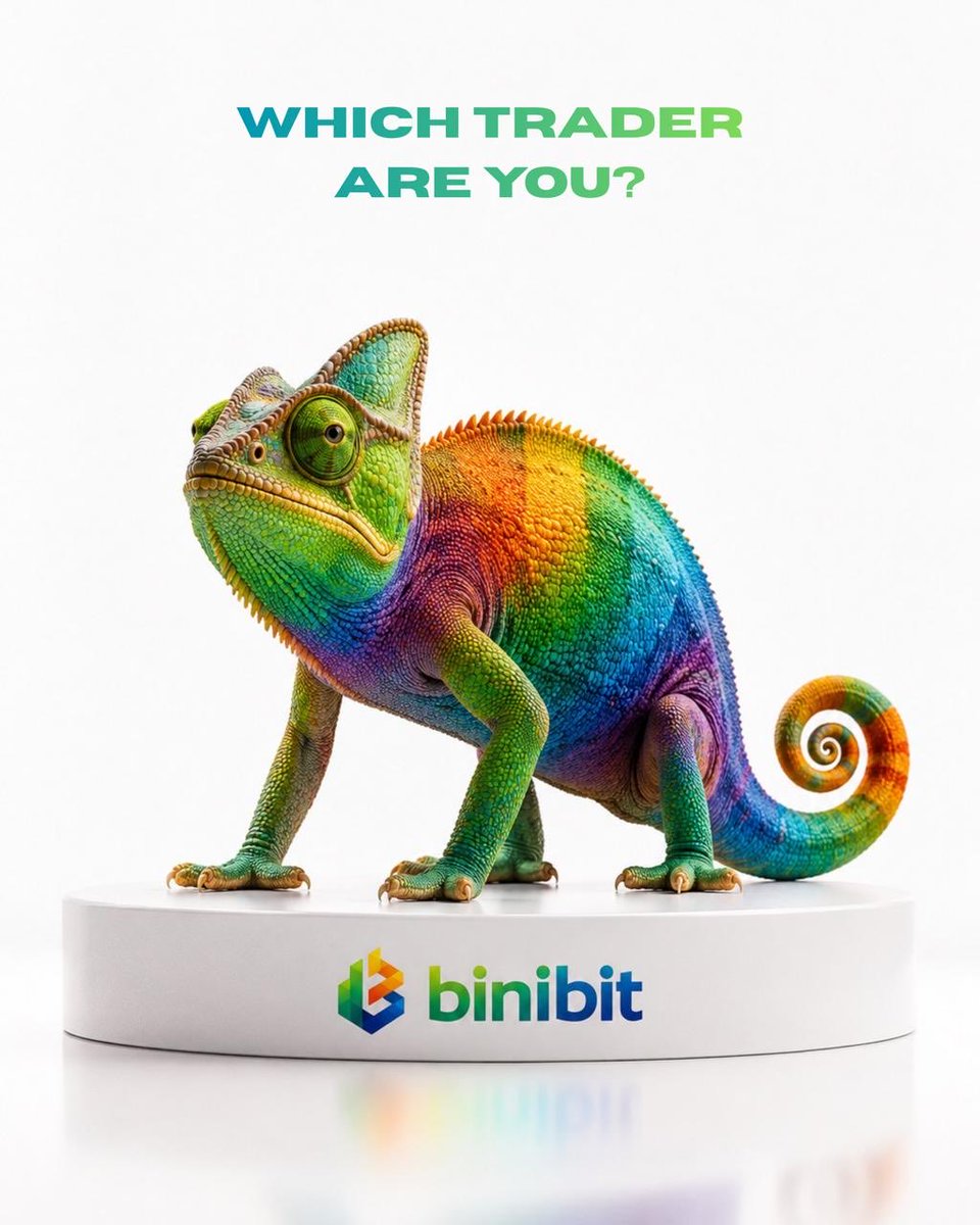 BinibitCrypto's tweet photo. 🦎 The HODL Master Starter Pack:
✔ Long-term vision
✔ Diamond hands
✔ Snacks ready
✔ Checks portfolio every 7 minutes
Which one are you? 👇
#Binibit #CryptoCommunity #HODL #Investing #CryptoHumor https://t.co/Wn4GT5rBGb