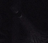 LordXaedin's tweet photo. @leovincible Very 'Jawsome' if you ask me... [: https://t.co/x6i9X9ulgS