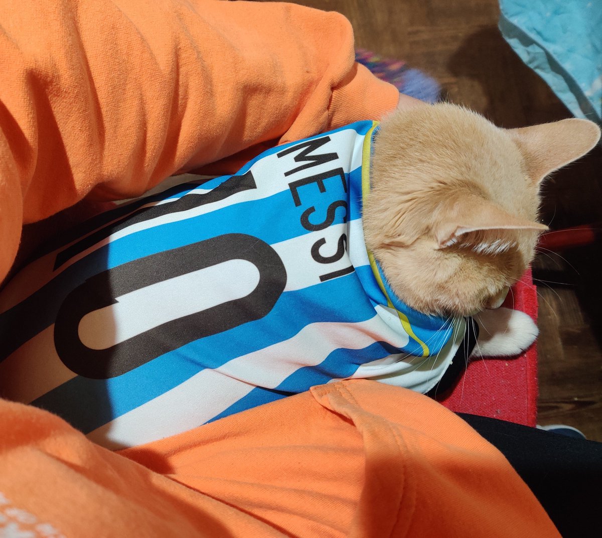 wildpiastri's tweet photo. antes del partido vs durante el partido https://t.co/XChpUvLt0N