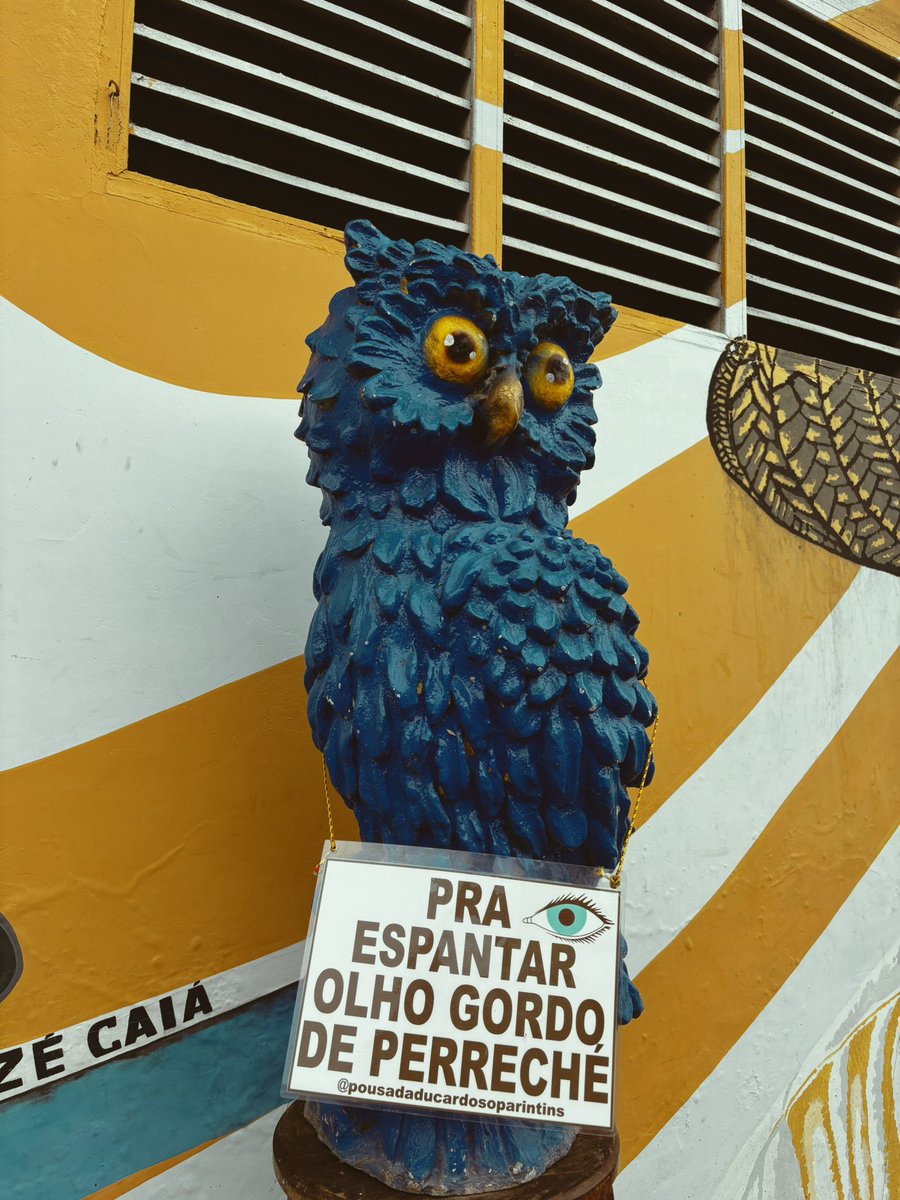Glefigueira's tweet photo. Pra cima meu boi 💙 https://t.co/JyeGDRYl4y