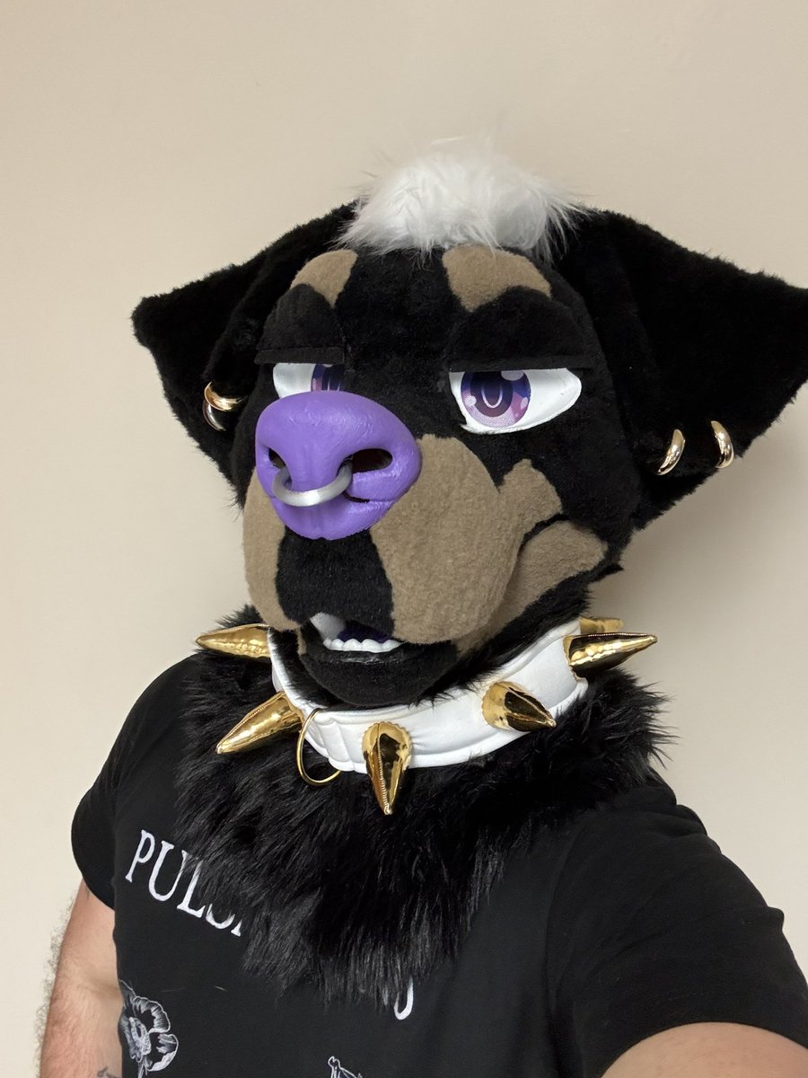 RottieSpirit's tweet photo. New necklace. Whatcha think, does it suit me?

#furry #fursuiter #gayfurry https://t.co/6i7Z04oVVP