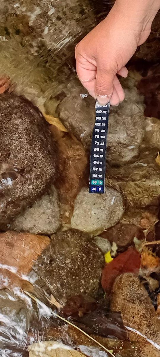 APTNorteEcuador's tweet photo. @CorteConstEcu @DEFENSORIAEC 🌎 A través de estas acciones fortalecemos el conocimiento, la participación comunitaria y el compromiso de las nuevas generaciones con la conservación de nuestros ecosistemas acuáticos y forestales.

#EducaciónAmbiental 
#ClubesEcológicos 
#MonitoreoDelAgua #CalidadDelAgua
📸 https://t.co/AkAqg3JsOZ