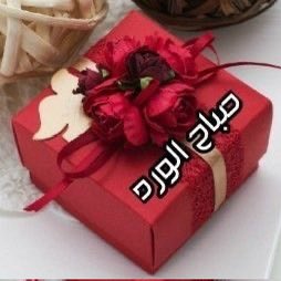 altorboshy35187's tweet photo. #صباح_الخير_والسعادة_للجميع 
عندما تهديك الحياه اجمل صدفه وهو انتي فاعلمي انني اسعد انسانه في هذه الحياه 🫂❣️ https://t.co/VfCOnYeOju