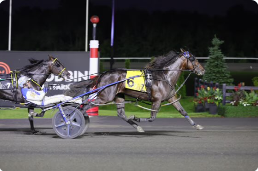 HPIbet's tweet photo. Woodbine Mohawk Park Monday | 🚨

@WoodbineSB 
⏰| 6:30 p.m. ET 
🔢| 10 races 
✅| Mohawk Thursday racing returns this week!

Watch and wager at https://t.co/sVZBWSqgZa https://t.co/pmYiNQOgRX