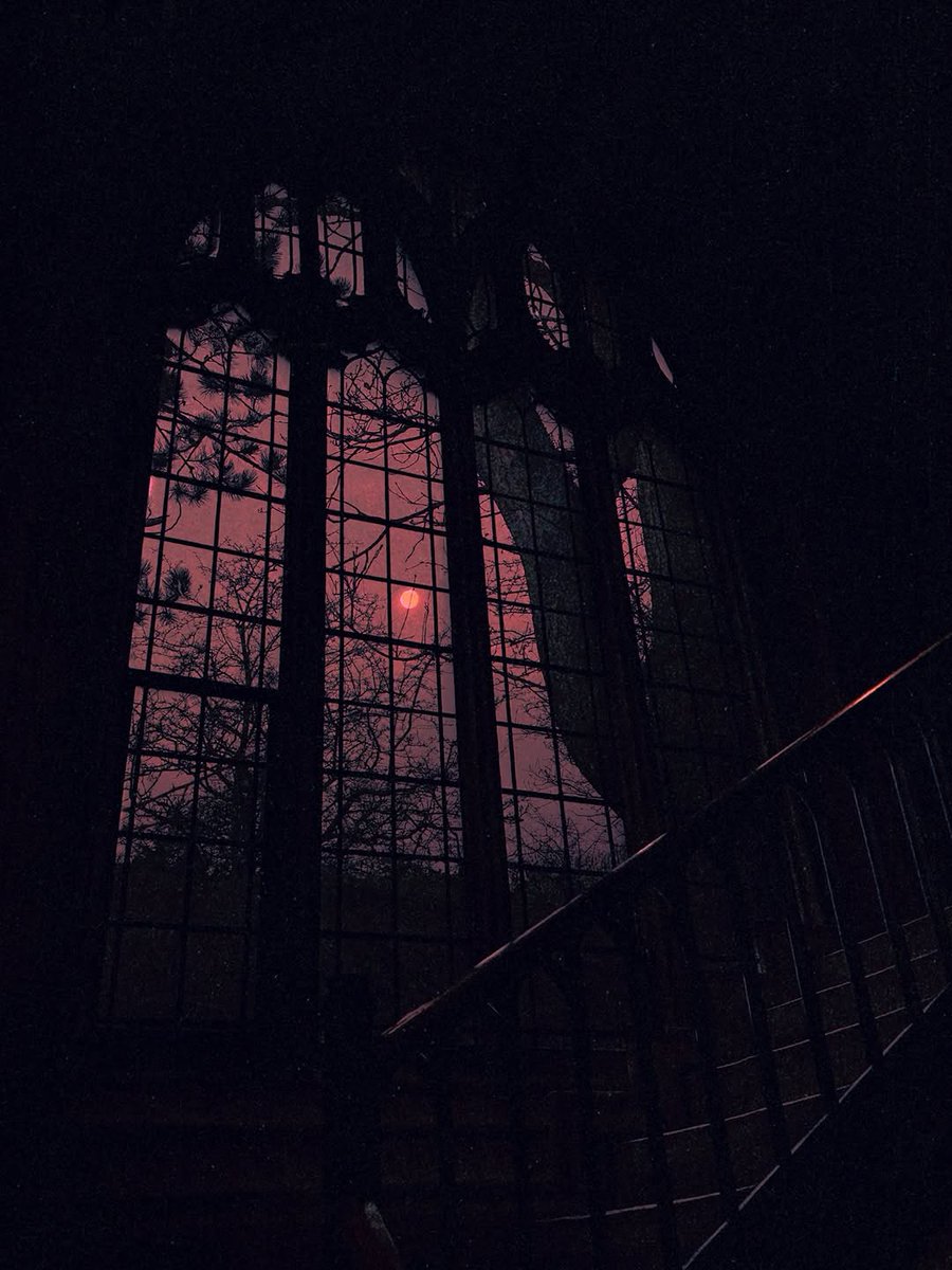 veilofcoffins's tweet photo. Goth escapism photography 

— Nona Limmen https://t.co/3FZKBxXUXs