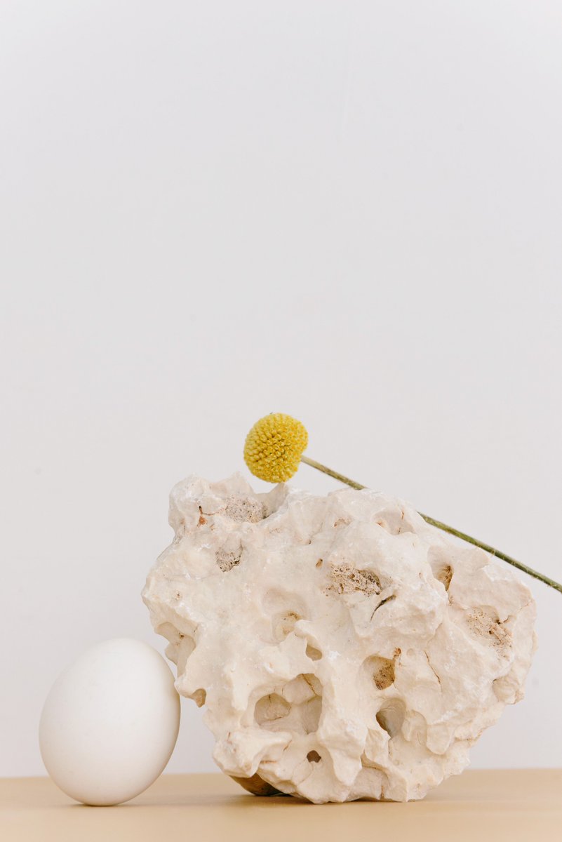 sightdrop's tweet photo. The world stopped for a single golden breath. A delicate yellow sphere settled on a coarse, bone-white boulder. It whispers secrets the wind forgets to carry.
📸 Ksenia Chernaya #Ai #Visual https://t.co/tcFqCrg214