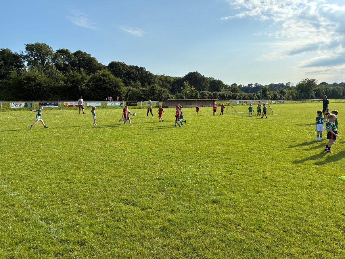 WaterfordGAACG's tweet photo. Photos come from a sunsplashed @ACTGAAPRO earlier who hosted Under-7 #PlayAndStay evening in glorious conditions, 4 teams participated with games, fun and participation galore, well done to
@ACTGAAPRO, @LismoreGAA, Nh. Brìd and @coisbhridegaa ✅️☀️🏐👏 @jamesla13176631 #GAA https://t.co/JzCo5GrOe0