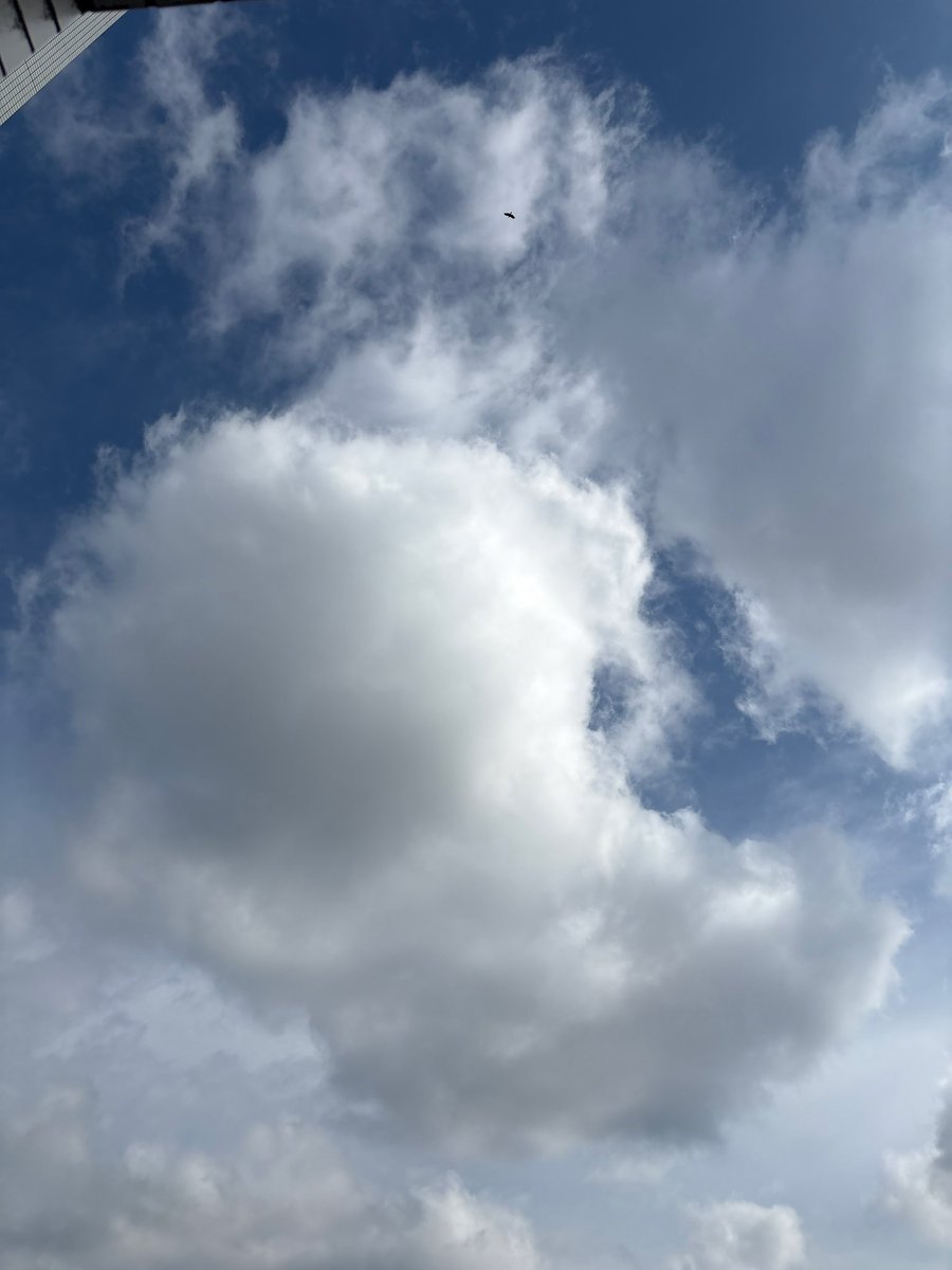 R8cyslu's tweet photo. #今ソラ
気温20.9℃、湿度81%
最高気温25℃予報、過ごしやすい🦆 https://t.co/JRb8C2CH4d