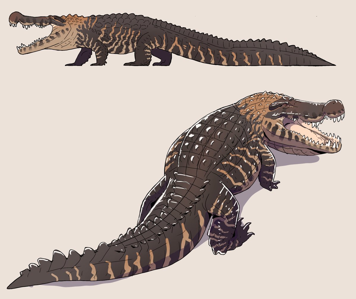 sinjins49691304's tweet photo. new deinosuchus design https://t.co/HADFhdkTXa