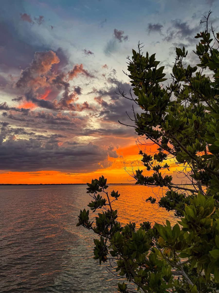 raimableee's tweet photo. Orange sunset https://t.co/lcWq0H7wNJ