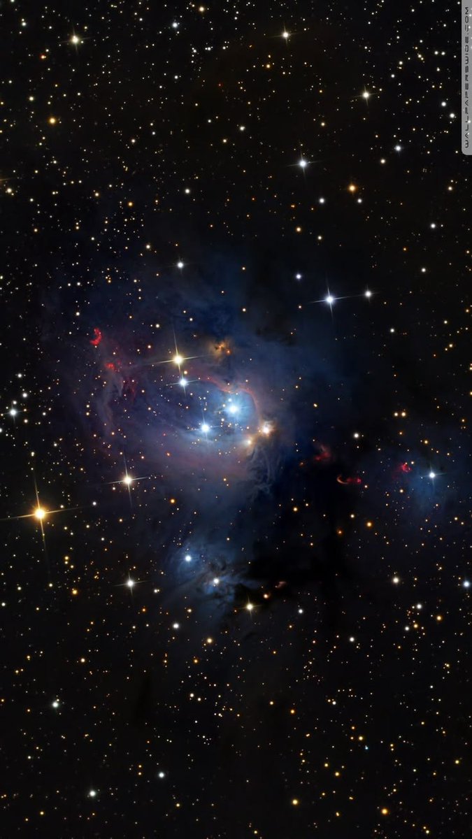 scienceacademyX's tweet photo. Beauty of Rosebud Nebula https://t.co/0HjFuyk6FL