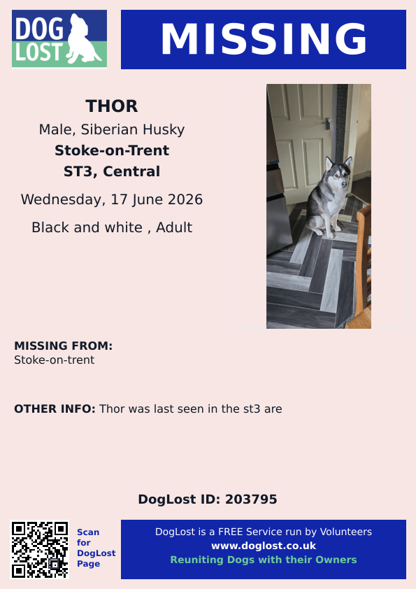 millypod1's tweet photo. 🆘17 JUNE 2026 #Lost Thor #ScanMe
Siberian Husky Male
#Longton #Meir #Blurton #WestonCoyney #Fenton
#Bucknall areas #StokeOnTrent #Stoke #Staffordshire #ST3
#https://www.doglost.co.uk/dog/203795 https://t.co/vqK3pr216r