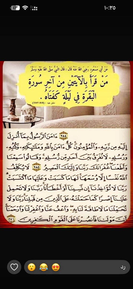 Almulla1Shamsa's tweet photo. https://t.co/MDJWxACBBX