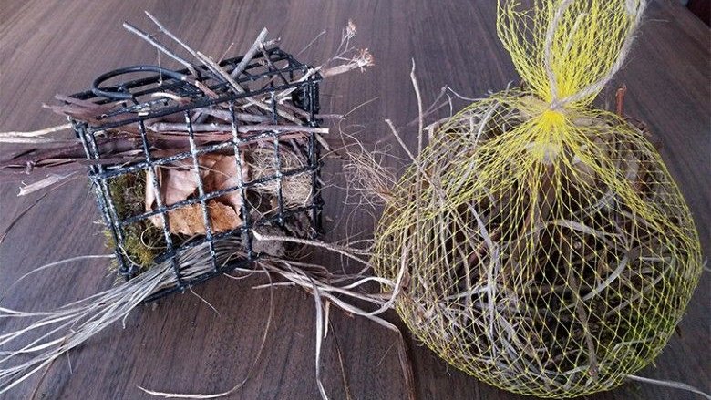 giveashitnature's tweet photo. What you put out for nesting birds could mean the difference between healthy chicks and a failed nest.

Dryer lint is the one people reach for first. It feels like the right texture, soft and fibrous, and the advice to leave it out has been circulating on Pinterest for decades. 

The problem is that lint collapses when it gets wet, which a nest does, and it leaves gaps that expose eggs and chicks to temperature swings. It's also loaded with detergent residue, fabric softener chemicals, and synthetic microfibers from polyester clothing. 

The Cornell Lab of Ornithology recommends against it. So does Audubon. So does essentially every wildlife rehab organization that has dealt with the consequences.

Pet fur has a similar problem if your dog or cat is on flea and tick medication. A 2021 study found fipronil, the active ingredient in many topical treatments, in 100 percent of songbird nests sampled that were lined with pet fur. Chick mortality rose with pesticide load. If your pet is treated, keep the fur out of the yard during nesting season.

What actually works: plant down, dried grass, short twigs and plant stems under three inches, wool from untreated animals, and natural cotton fiber. 

Stuff a small wire suet cage or a mesh bag loosely, hang it somewhere birds can find it easily, and let them take what they need.