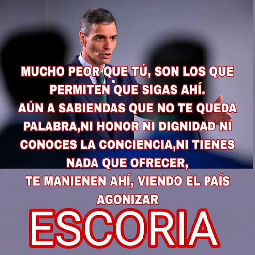 pepeluspain's tweet photo. https://t.co/Gek3yjdWhn